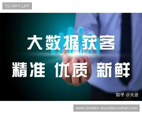 精准投放系统优化,提高广告转化效率 精准投放系统优化,提高广告转化效率